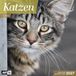 Katzen Kalender 2027 - 30x30 - Art12: Niedlicher Tier-Kalender im schlanken Hochformat (aufgeklappt 30x60 cm) | mit Eintrage-Kalendarium