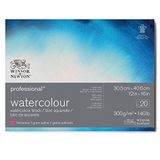 Winsor & Newton Professioneel aquarelpapier in blok - 20 vellen 30,5 x 40,6 cm, 300 g/m², gesatineerd, helder natuurlijk wit papier in archiveerbare kwaliteit, bestand tegen vergeling