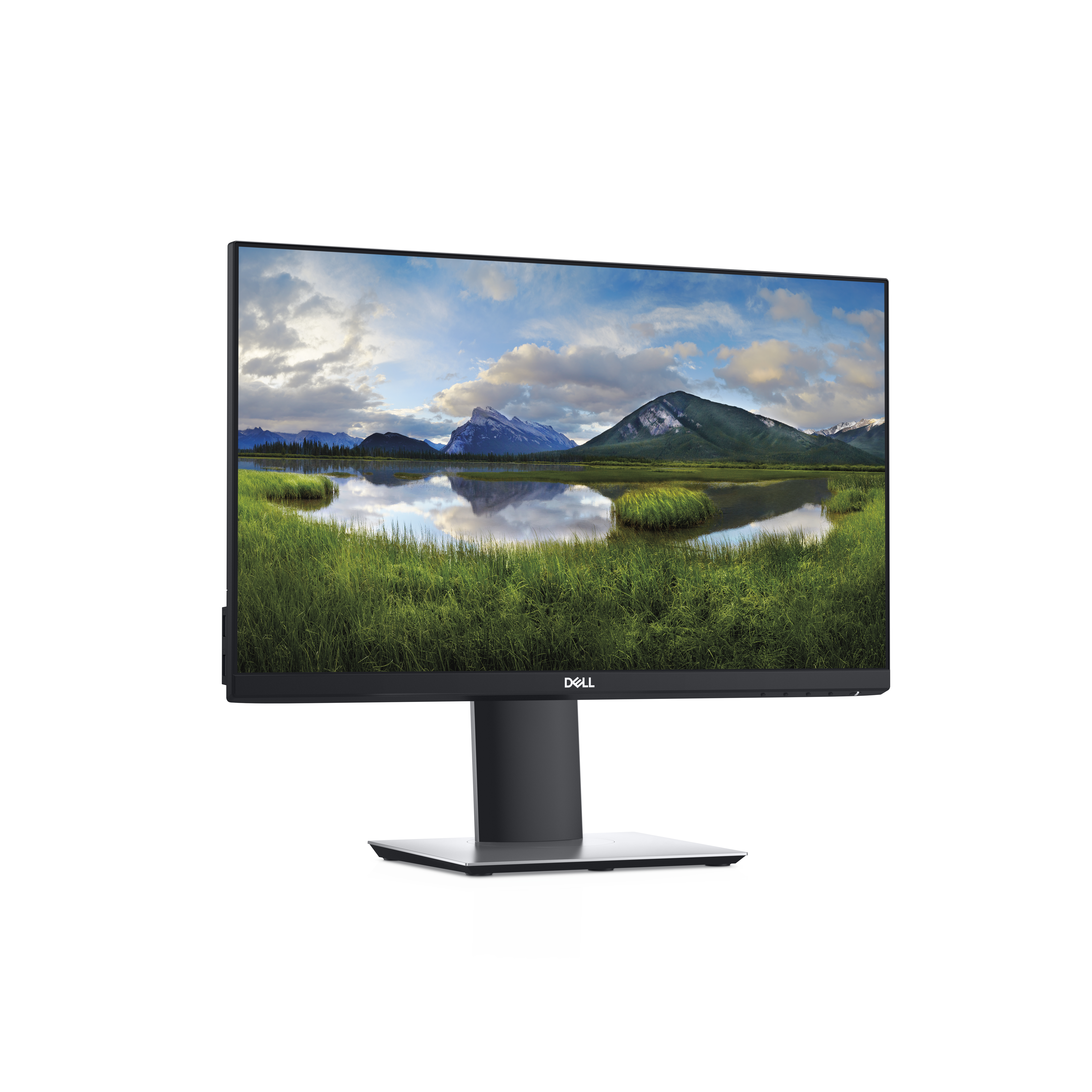 Dell P2219H