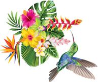 Ambiance Sticker Muurstickers - Tropische bloemen en kolibrie - Transparante achtergrond - 20x25 cm