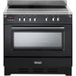 DELONGHI MEM 965 NX IND BE