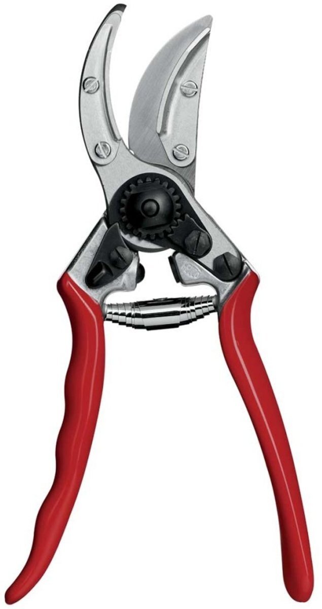 FELCO Snoeischaar 100 - rozen en snijbloemen Kom alles te weten over <lt/>a href=https://www.bol.com/nl/i/-/N/13082/ target=_blank"<gt/>snoeien<lt/>/a<gt/