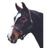 Weatherbeeta Leren halster voor paarden Collegiate Comfitec Pony Zwart