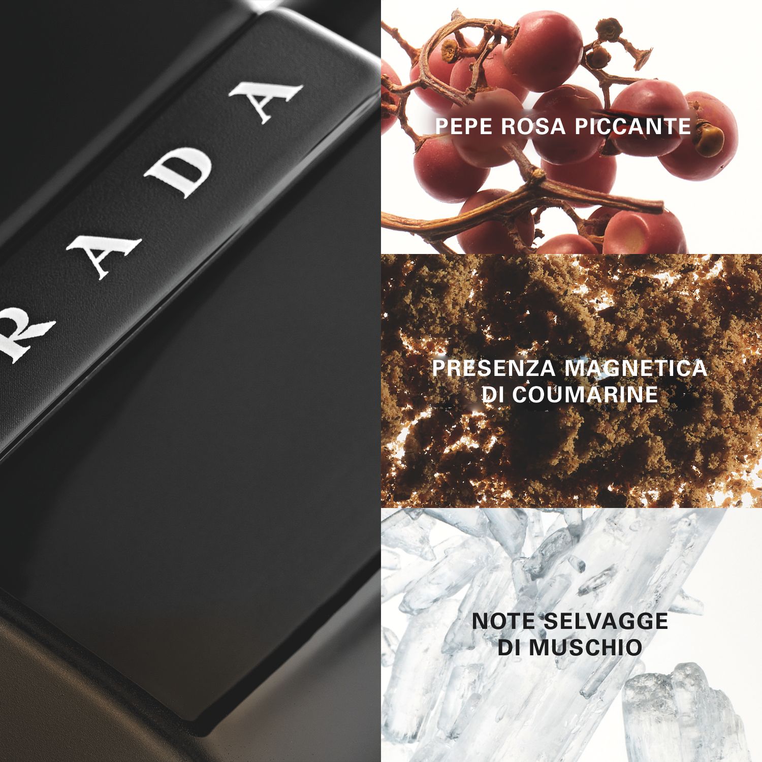 Prada Luna Rossa Black / 50 ml / Mannen
