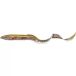 Savage Gear Real Eel leurre souple 40cm 147g Green Lamprey