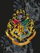 Harry Potter Fleecedeken Hogwarts School - 130 x 170 cm - Polyester