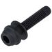SHIMANO BR-R8170 remklauw bevestigingsbout, voor C2 10 mm