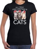 Bellatio Decorations Kitten Kerstshirt / Kerst t-shirt All i want for Christmas is cats zwart voor dames - Kerstkleding / Christmas outfit M
