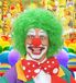 Widmann Clownpruik Groen Afro Halflang Unisex Volwassen Kunstvezel