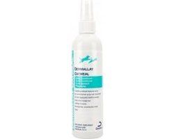 DermAllay Oatmeal Conditioner - 230 ml