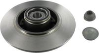SKF Jeu de 2 disques de frein VKBD 1027