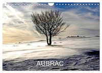 AUBRAC CALVENDO AUBRAC (Calendrier mural 2027 DIN A4 vertical), CALVENDO calendrier mensuel: Plateau du sud du Massif central
