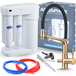Aquaphor Ensemble de filtration d'eau potable par osmose inverse Morion 101s + robinet de cuisine flexible à trois voies - Or brossé