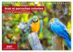 Aras Calvendo Aras et perruches colorées (Calendrier mural 2027 DIN A4 vertical)