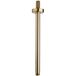 Wiesbaden Caral Douchearm met Plafondbevestiging - 30cm - Geborsteld Messing