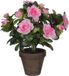 Mica Decorations Kunstplant - Azalea - Groen/Lichtroze - 27 cm