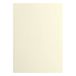 Vaessen Creative Florence Cardstock 2927-002 10 vellen glad karton voor scrapbooking, kaarten maken, ponsen en andere papierambachten, beige, 216 g/m²