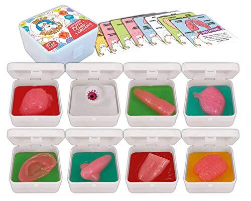 DYNIT KIDS - Ontdek het menselijk lichaam Human Organs, gesorteerd, kleur, 4749048