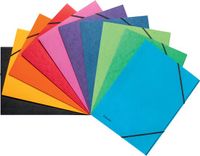 Esselte 10 kartonnen mappen A4 Verschillende kleuren