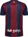 Hummel Functioneel shirt blauw / gemengde kleuren / rood