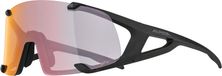 Alpina Hawkeye S QV Glasses - zwart