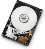 Western Digital Travelstar 5K1000 750GB interne harde schijf