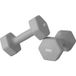 Lot de 2 haltères de 6 kg, design hexagonal, antidérapant, respectueux du sol, gris