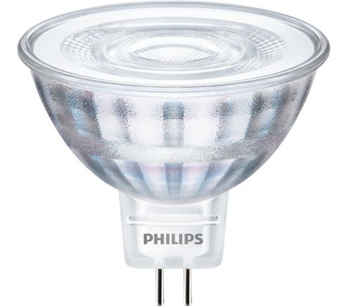 Philips CorePro LED 71065400