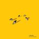 L'After Coco Mosquito - L'After Life (LP)