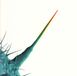 PIAS Nederland Peter Gabriel - Scratch My Back / And I'll Scratch Yours (CD)
