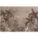 Papier peint panoramique Forêt tropicale 195 cm X 130 cm