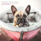 Franse Bulldog 2027 Traditionele kalender