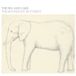 The Sea And Cake The Moonlight Butterfly (LP) (Opaque Tan) (Limited Edition)