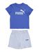 PUMA Ensemble