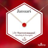 Bixorp Geboortesteen Ketting Januari - 18k Goud Verguld Roestvrij Staal met Zirkonia Hanger