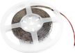 EUROLITE LED Strip 300 5m 3528 3000K 12V