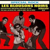 Les Blousons Noirs
