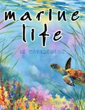 Marine Life in Watercolor: Sea Life Art Collection