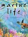 Marine Life in Watercolor: Sea Life Art Collection
