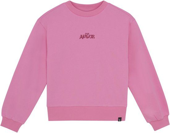 Indian Blue Jeans Sweater Pink Meisjes Katoen Ronde hals Lange mouw - Maat 164