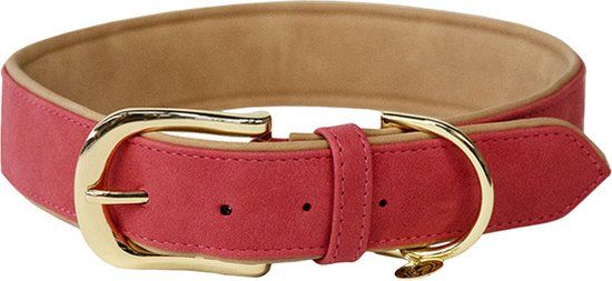 Kentucky Horsewear Dogwear - Hondenhalsband - Vegan Leer Rood XL