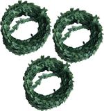 Rayher hobby materialen Rayher Hobby Gmbh 3x Mini Buxus Guirlande Slinger 500 x 1 cm Kunststof