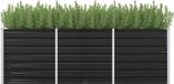 Maison Exclusive - Potager surélevé anthracite 240 x 80 x 77 cm Acier galvanisé