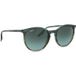 Ray-Ban RB2204 1394GK 54