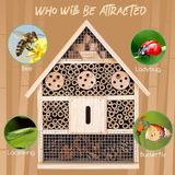 Merkloos insectenhotel / Design insectenhotel met natuurlijke materiaal - Voor bijen, lieveheersbeestjes en vlinders - Om op te hangen 26 x 10.5 x 30.5 cm