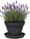 EDA Romeo Pot de fleurs et soucoupe - D21 x H16 cm - anthracite - plastique - intérieur et extérieur