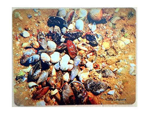 artdee Muismat met fotoafdruk schelpen - 4260733289455
