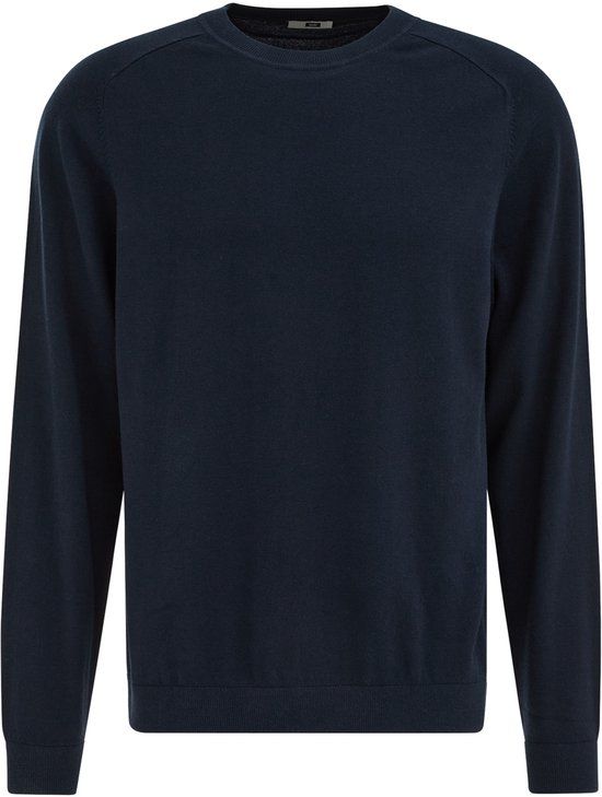 WE Fashion Heren regular fit trui