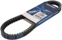Dayco 8019 Riem