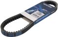 Dayco 8019 Riem